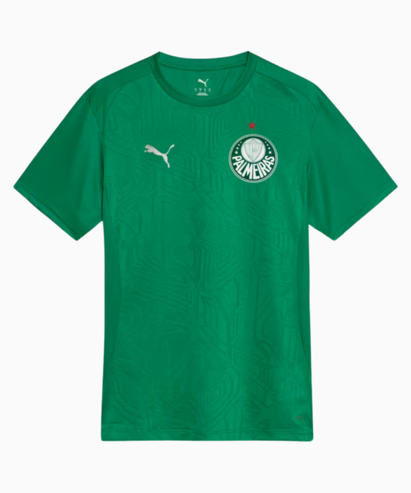 Camisa Palmeiras 2025 – Treino