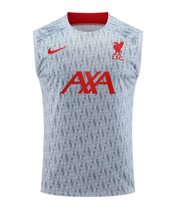 Regata Liverpool 23/24 - Treino - Cinza
